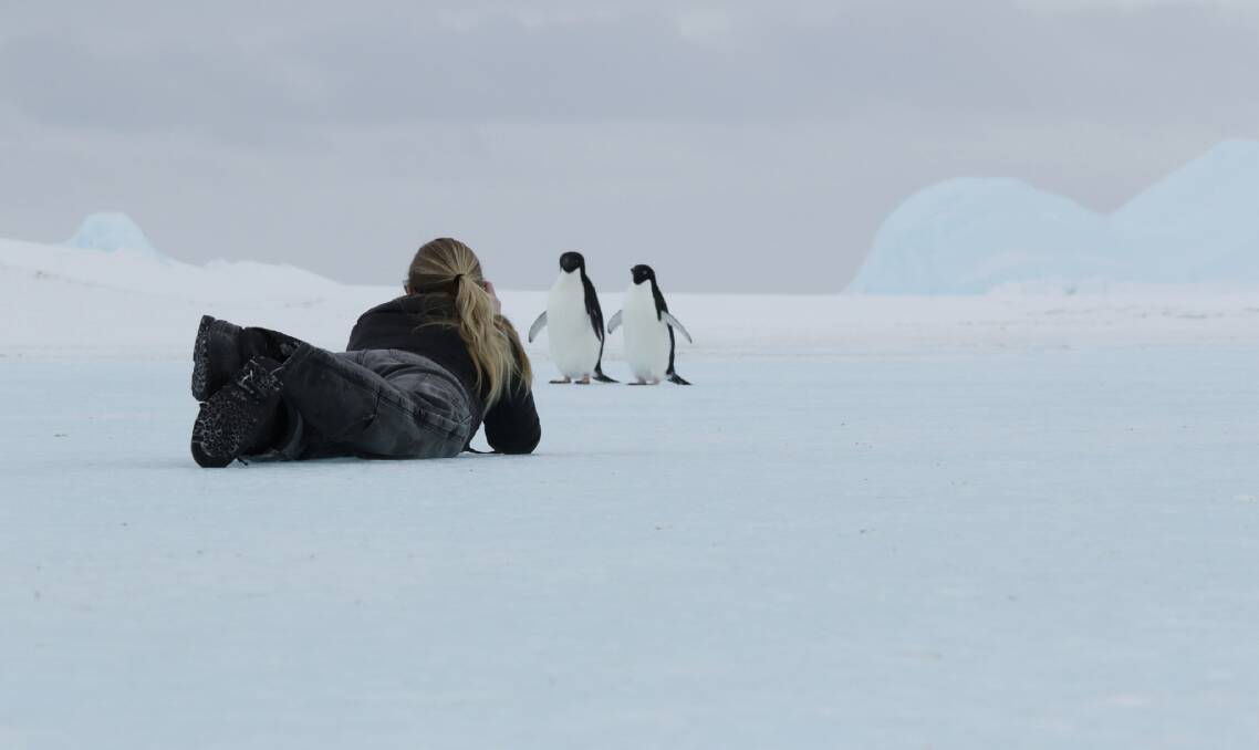 COOL JOB: Jen Proudfoot is in the middle of her first season in Antarctica at Davis Station, where she has been delighted by the wildlife. Picture: Aaron Stanley, Australian Antarctic Division