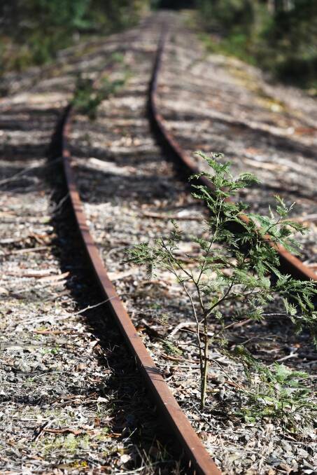 CONTENTIOUS: There are two conflicting proposals to make use of the disused North East rail line for tourism. Picture: Scott Gelston