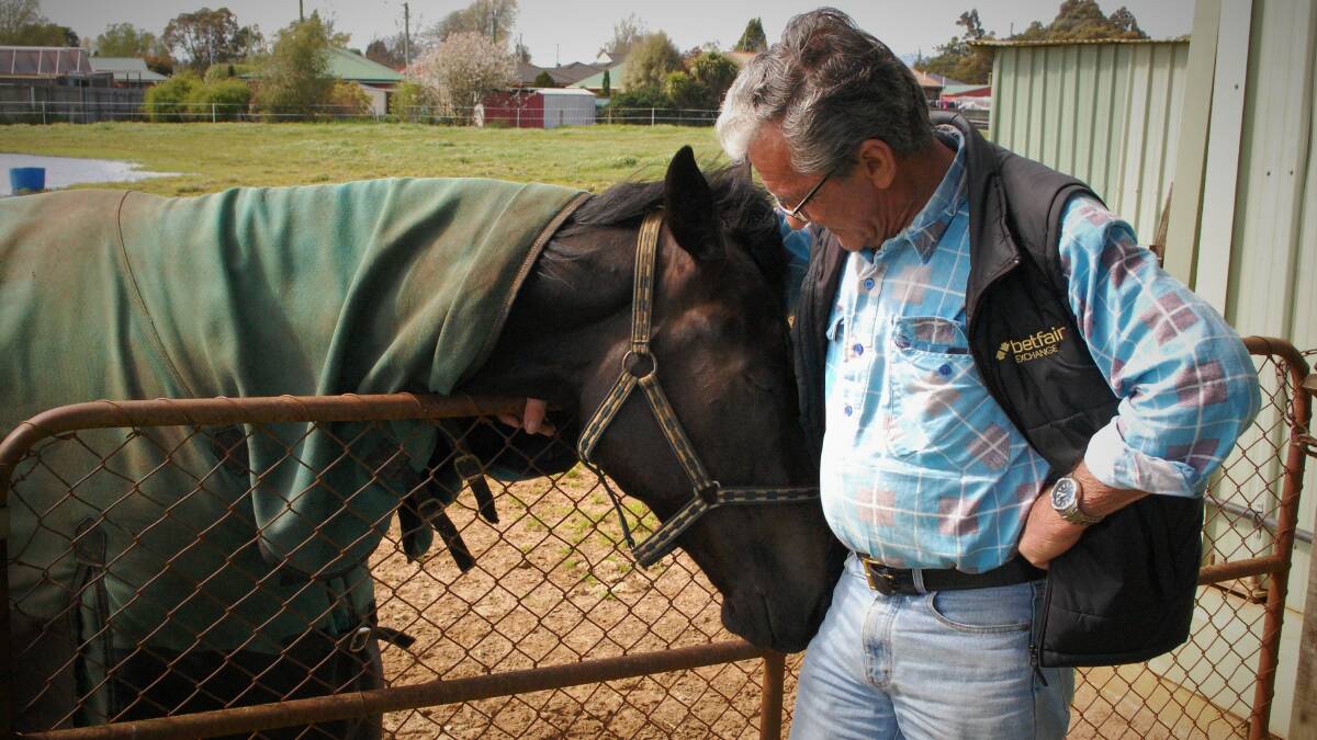 Horse trainer Mick Burles, the subject of new book Mick and the Cleaner by Peter Staples, with horse Clean Achiever at the Longford Stables. Picture: Piia Wirsu 