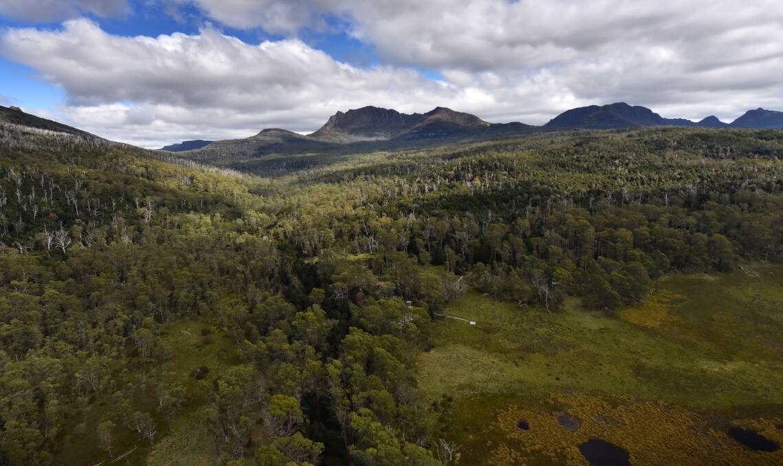 OVERLAND: In the early 20th century ex-hunters developed a lot of the infrastructure that exists in national parks today, including cutting and marking the iconic Overland Track that draws thousands of visitors each year. Picture: Scott Gelston