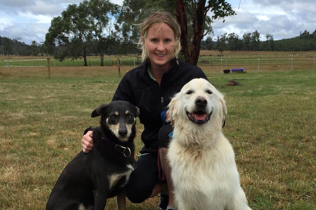 HAPPY DOGS: Yours in Paws dog trainer Liana Seadon at home at Glengarry with her beloved dogs Meg the Kelpie, 9, and Rory the Golden Retriever, 8. Picture: Holly Monery