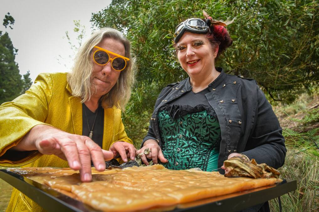 SCOBY PLAYERS: Brian Ritchie with Mona Foma artist Sonja Hindrum. Picture: Paul Scambler 