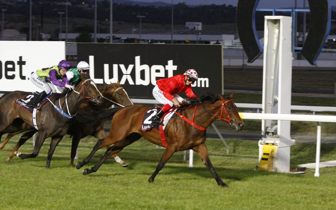 Classy win: Hot Dipped takes out the $50,000 3YO Cup at Mowbray on Wednesday night. Picture: Brad Cole