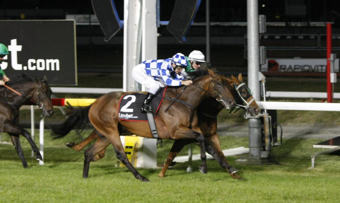 Back to his best: Admiral (No. 2) takes out the $100,000 Conquering from Hellova Street in a tight finish at Mowbray on Wednesday night. Picture: Brad Cole.