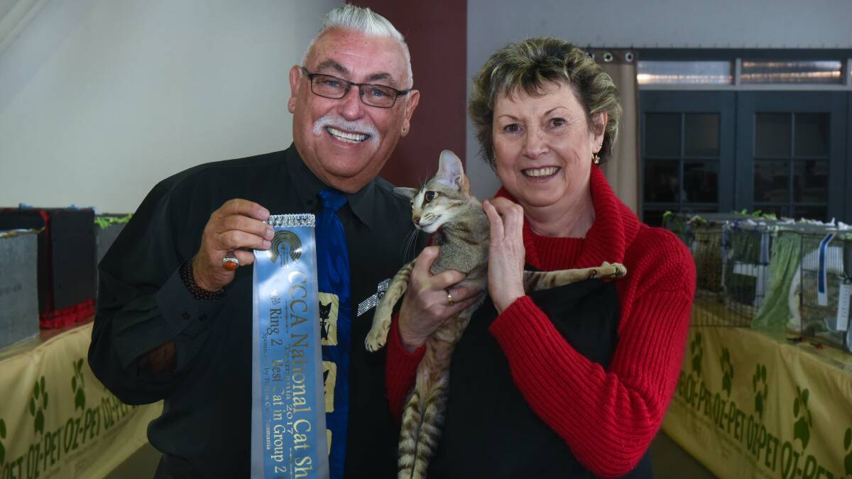 RANI WAY: Thailand judge Alan Raymond presents Sheryl Hay's Tigress Rani with the award for best cat in group two. Pictures: Neil Richardson