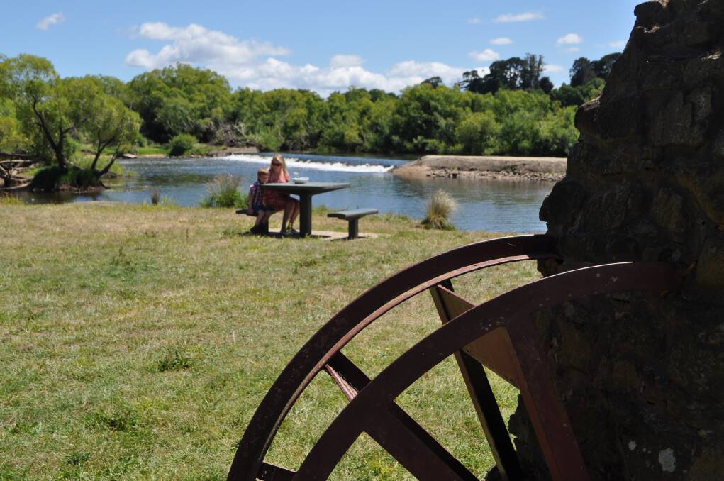 PICNIC TERRITORY: An action group is working to ensure Dam Mill Reserve remains an appealing picnic spot for families.