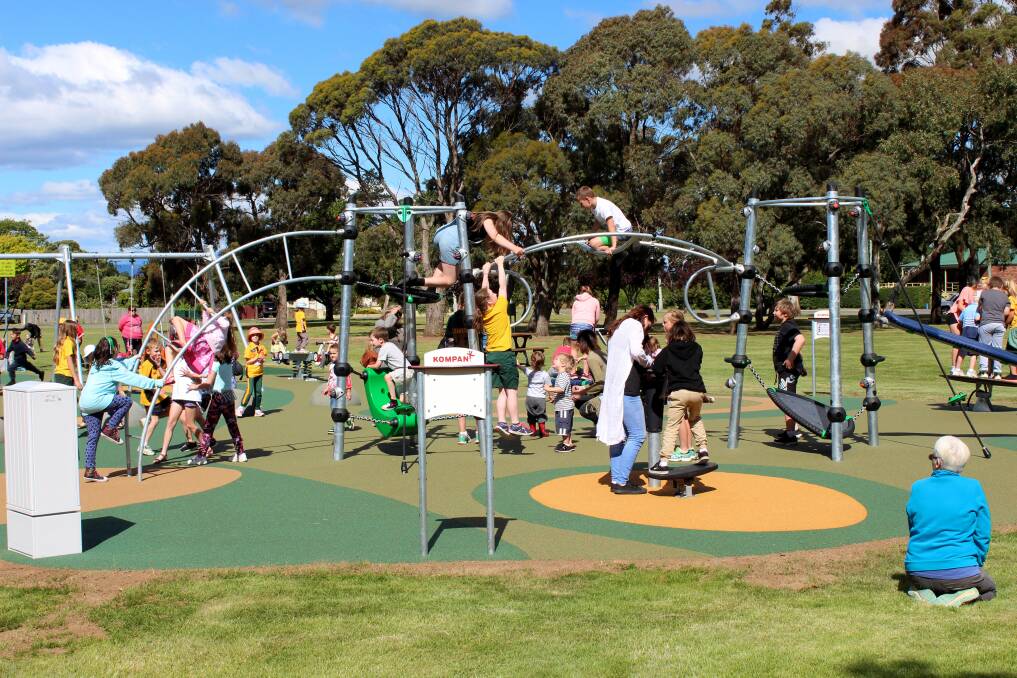 HIVE OF ACTIVITY: The new playground at Longford Village Green. 