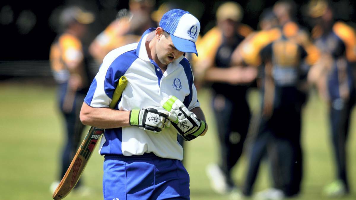 NEW TIGER: Former ACL cricket Hayden Thompson will line up for Beauty Point this weekend. 