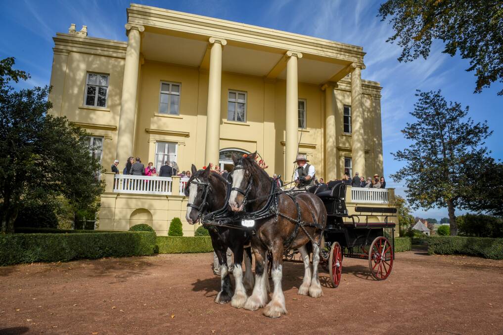 Clydesdales at the front of the property in 2018. Picture by Paul Scambler