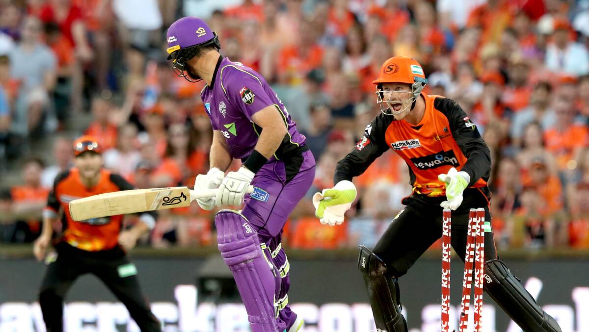 HOWZAT: Scorchers wicketkeeper Cameron Bancroft celebrates the wicket of Dan Christian. The Hurricanes fell to their second-straight loss on Saturday night. Picture: AAP