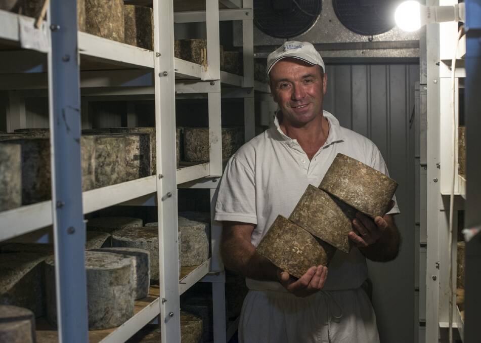 BETTER CHEDDAR: Bay of Fires Cheese has successfully defended its title as Australia's best cheddar. Owner Ian Fowler said the company's success could be traced back to its team of dedicated workers. Picture: Supplied