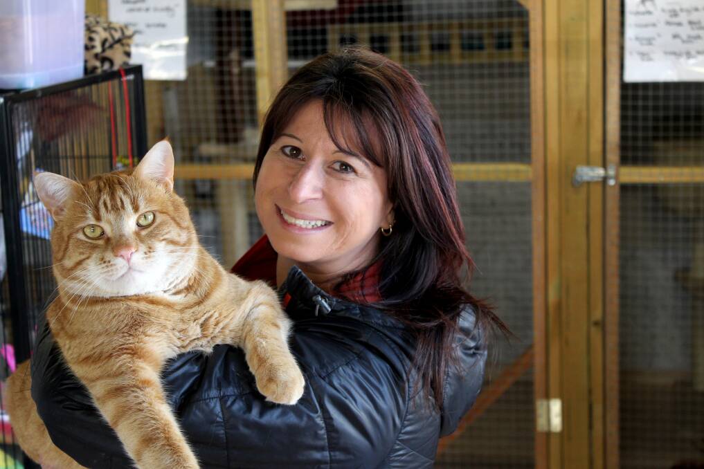 CAT CALL: Just Cats Tasmania director Rachel Beech with Just Cats mascot Gavin. The Longford-based shelter is looking to find homes for six cats from its long-term pen. Picture: Hamish Geale 