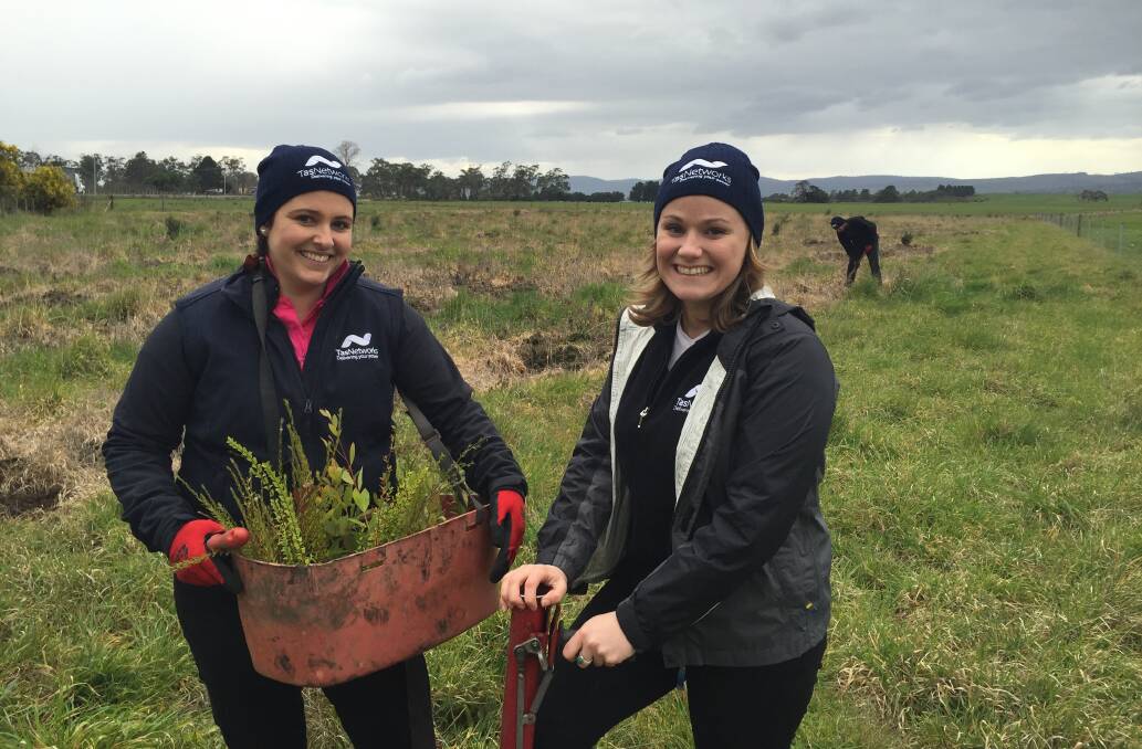 SOWING SEEDS: TasNetworks members Amy Henderson and Anne Simpson were part of a team which helped plant 1200 native trees at Ross for the Midlands Restoration Program. Picture: Supplied