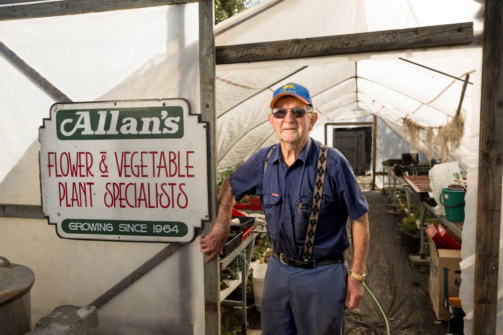 Mr Allan at his greenhouse. Picture by Phillip Biggs