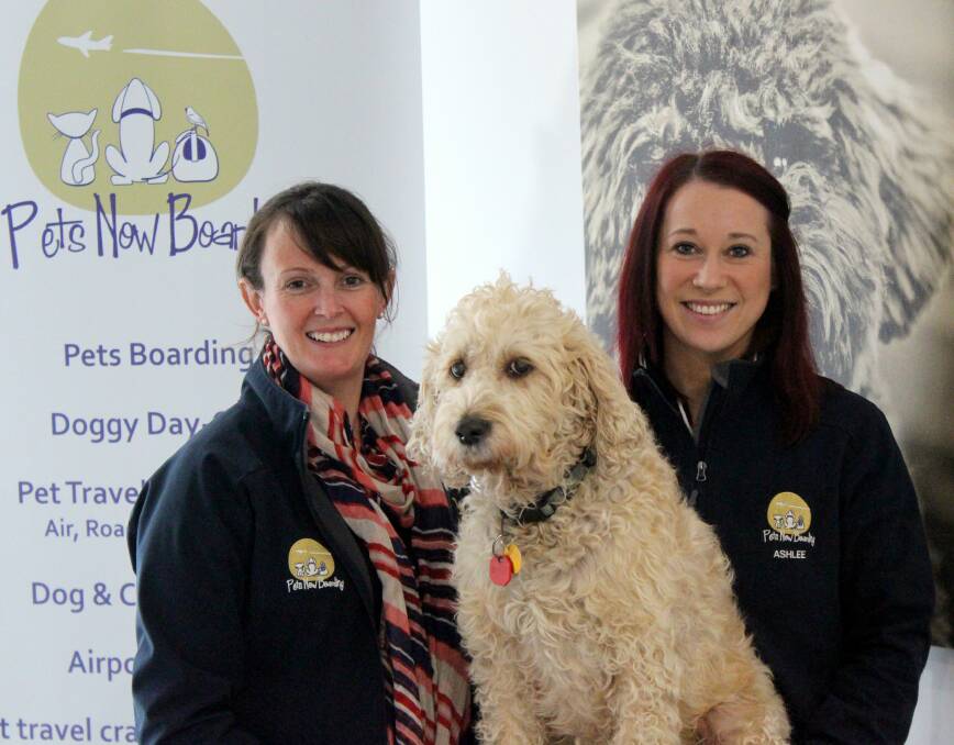 HOUND HYDROTHERAPY: Pets Now Boarding owner Anna Henry and veterinary nurse Ashlee Dunne with labradoodle Dolly. The boarding facility is planning to install an underwater treadmill next month. Picture: Hamish Geale