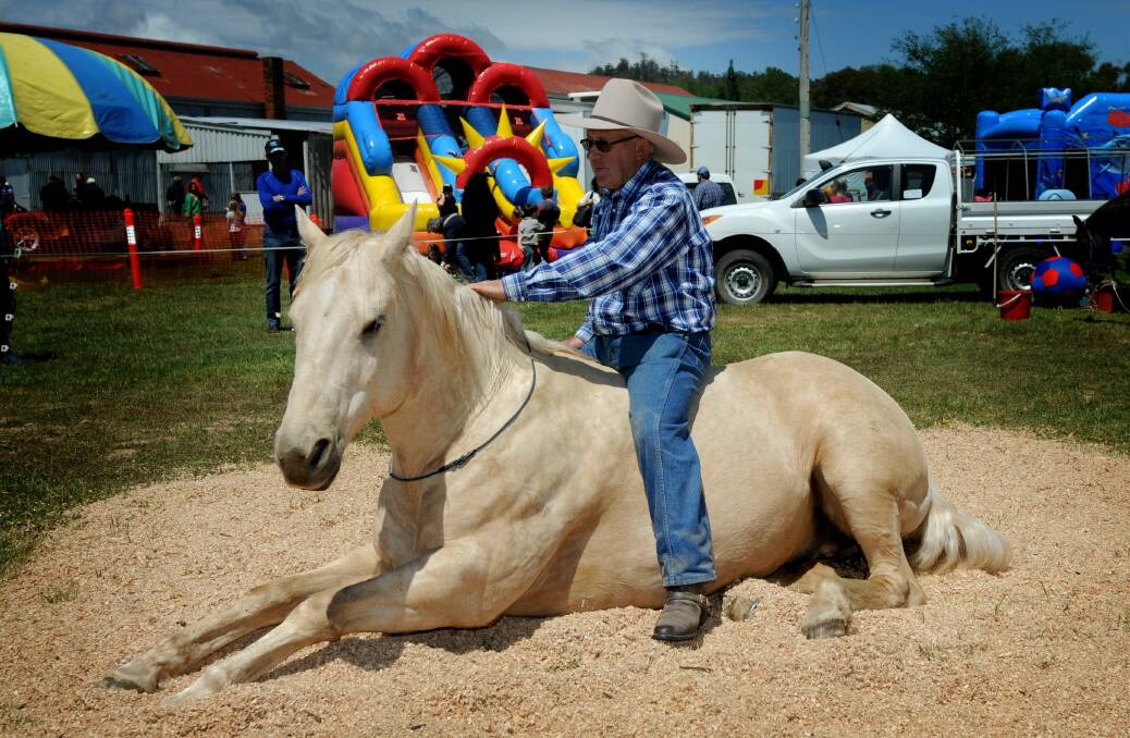 SHOWMAN: Ron Morgan's ever-popular horse demonstrations will again feature at the Deloraine Show.
