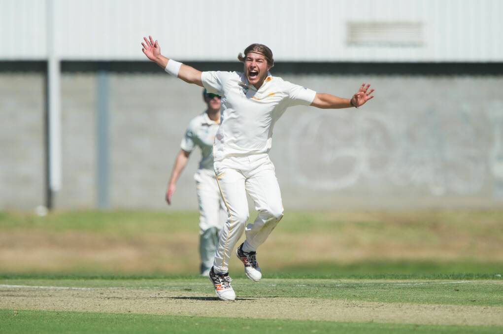 HOWZAT: Knights bowler Josh Freestone appeals for one of his three wickets on day one.