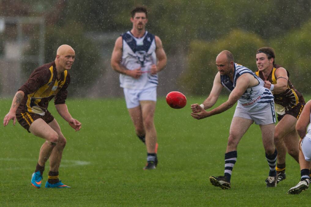 FUTURE IN DOUBT: The struggling Tamar Cats and the defunct Prospect Hawks in action last season. 