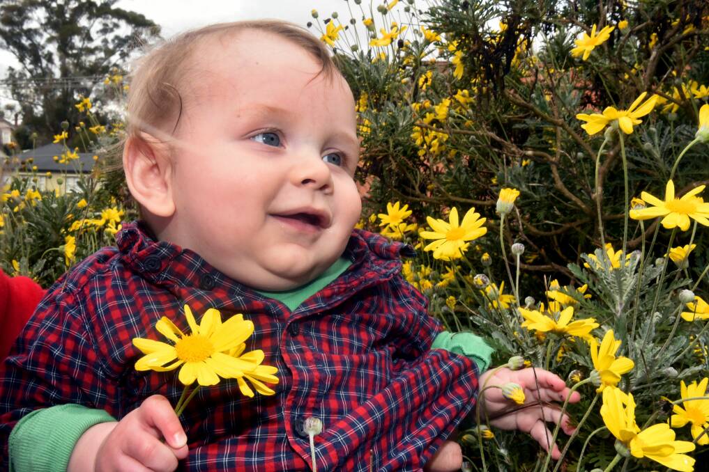  Five-month-old Leon Sowter enjoying glimpses of his first spring. Picture: Neil Richardson