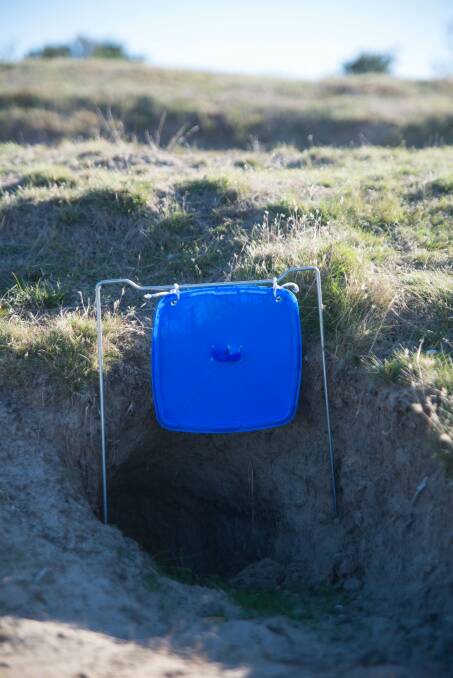 Experimental burrow treatments have been effective in stopping the spread of mange.