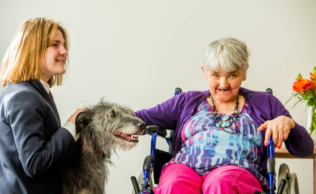 Scotch Oakburn student Sasha Yuvchenko visits Marlene Loosmore with Beau the therapy dog at Fred French nursing home. Picture: Scott Gelston
