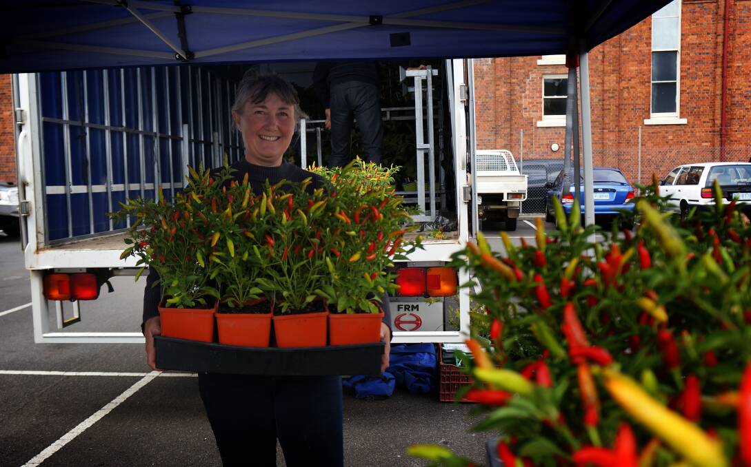 FRESH: Karen Brock, of Plants Direct at Winkleigh, unloads some chili plants.