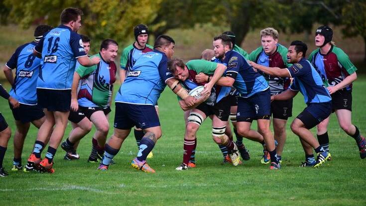 The Vikings defeated the Hobart Harlequins 42 to 24 at Royal Park, Launceston. Pictures: Paul Scambler