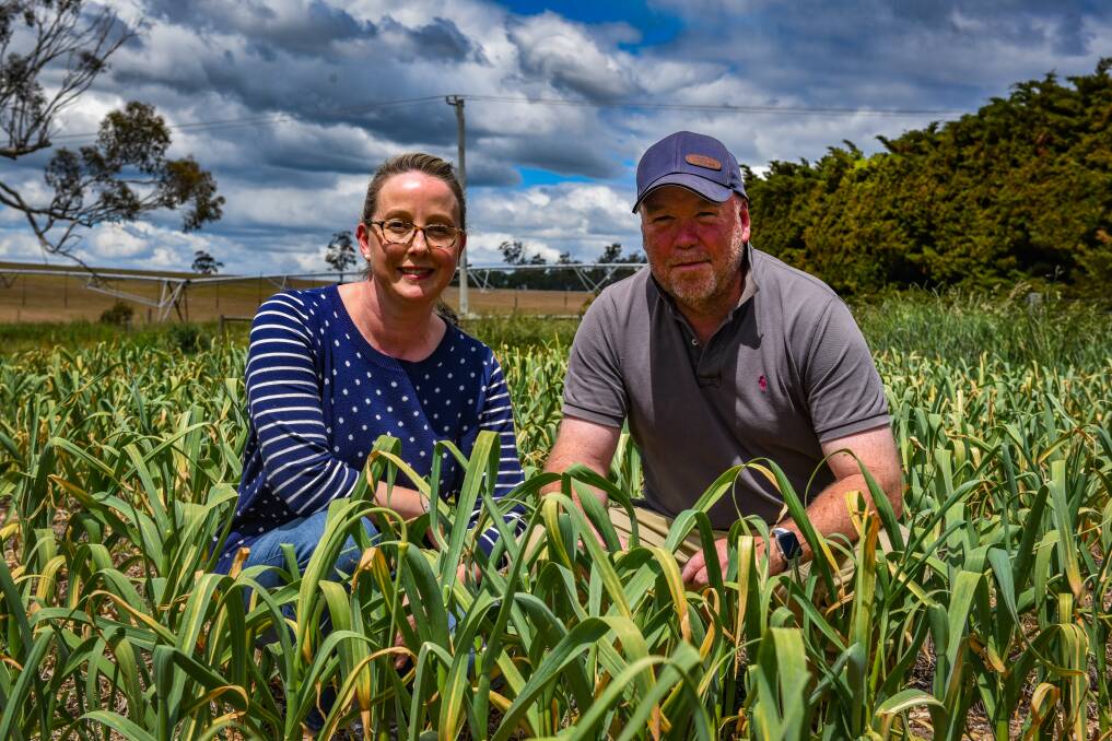 Old Forest Vale farmers Theresa Davis and Andrew Bratt, of Cressy, had never farmed before and are now successfully growing garlic. Pictures: Paul Scambler