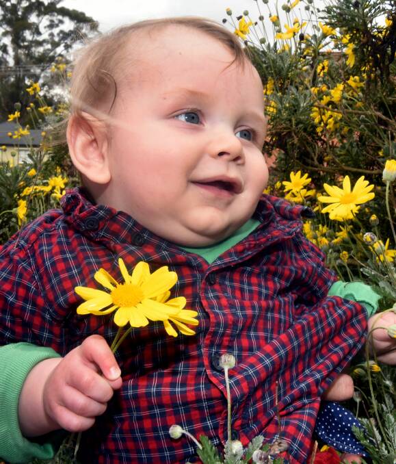 SPRING HAS SPRUNG: Five-month-old Leon Sowter enjoying glimpses of his first spring. Picture: Neil Richardson
