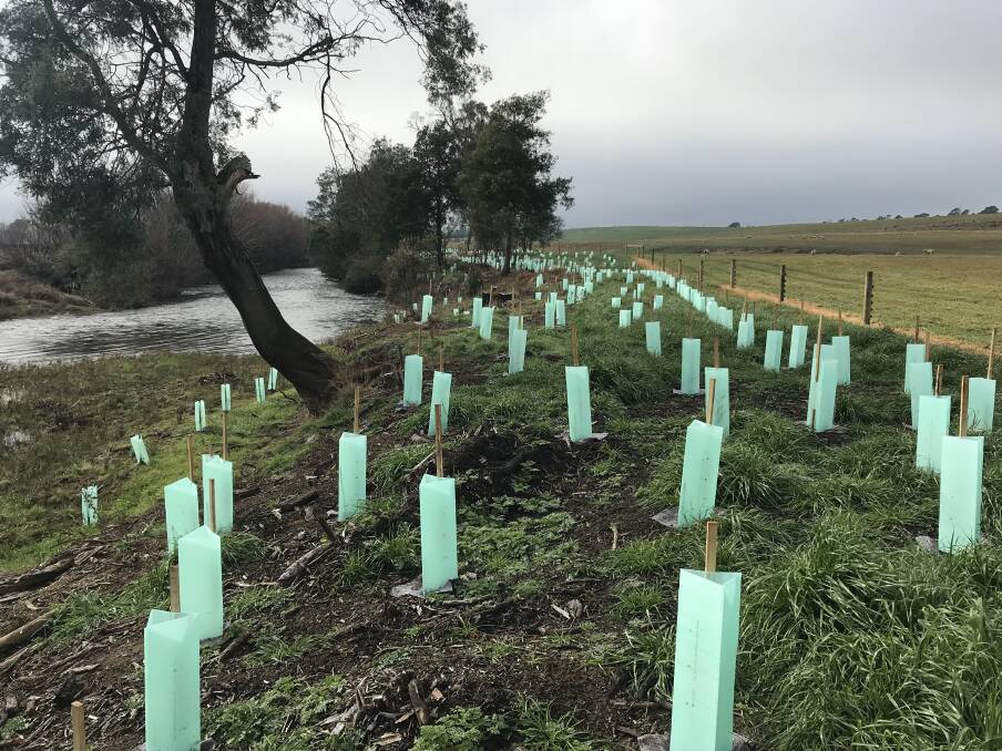 A past revegetation and stock exclusion fencing project completed by NRM North along the Meander River. Picture: Supplied