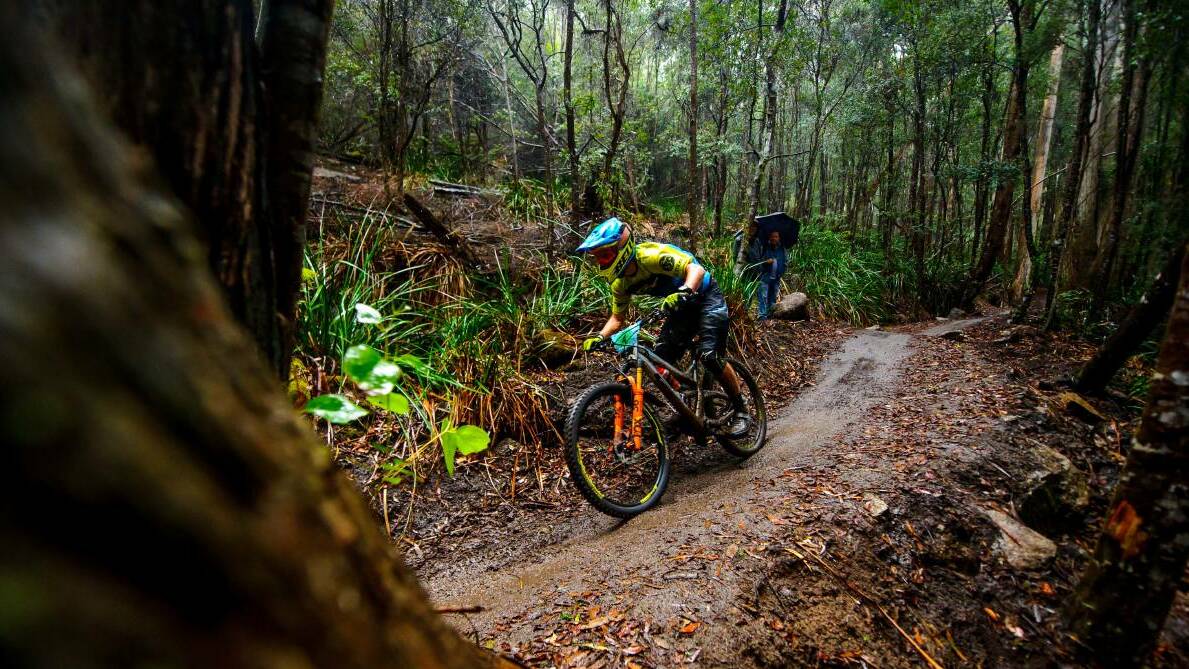 PEDALING AHEAD: World Trail have been appointed by Break O'Day Council as the company to build new mountain bike trails on the East Coast. Picture: Scott Gelston