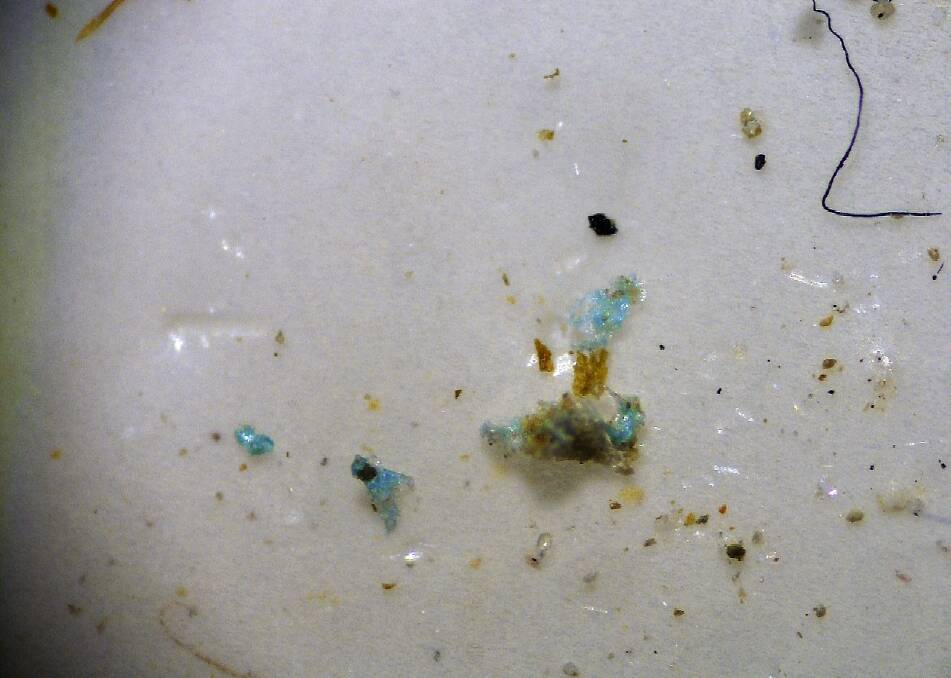 SEAFLOOR SAMPLING: High concentrations of microplastics in seafloor sediments were found along Tasmania's East Coast by a recent study. Picture: Supplied
