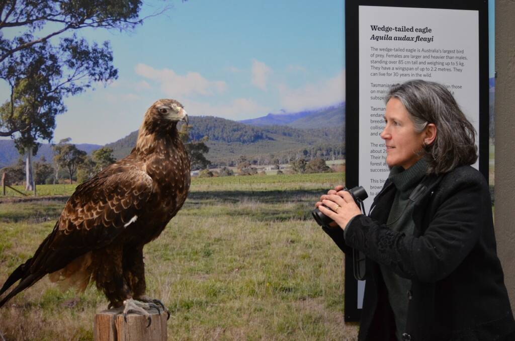 WHERE WEDGIE: Bookend Trust citizen science coordinator Dr Clare Hawkins hopes to encourage more people to participate in monitoring eagles. Picture: Tess Brunton