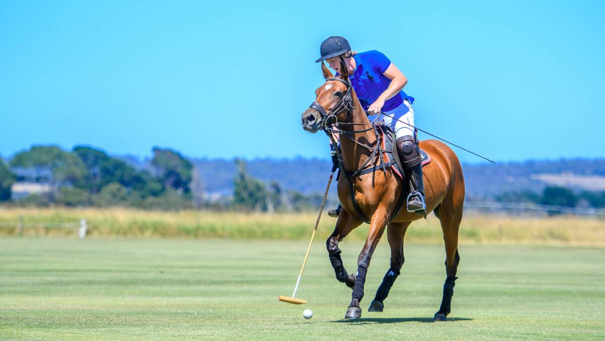 Barnbougle Polo attracts world class players to Tasmania