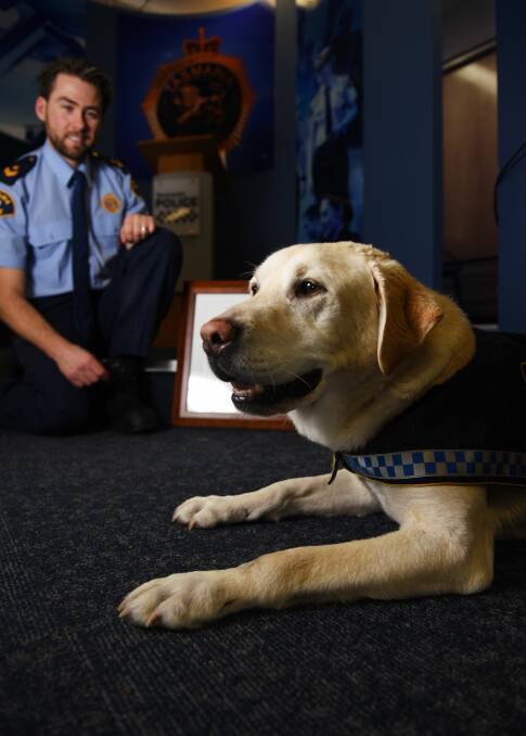 HAPPY ENDING: Mr Anderson and his former detector dog, now pet, Yuli. Picture: Scott Gelston