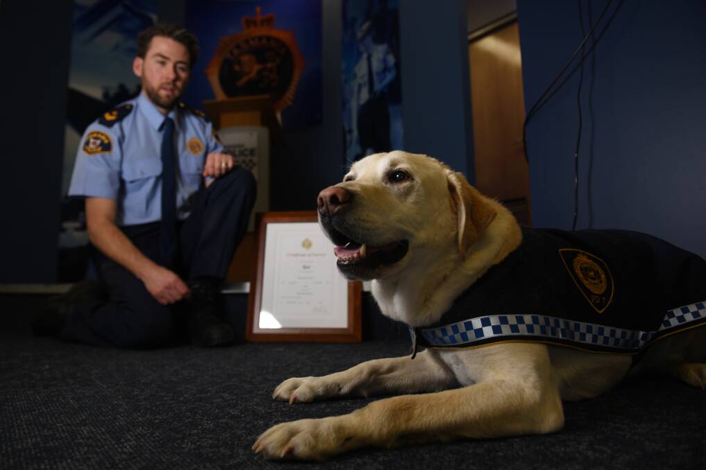 FORMER DETECTOR: Senior Constable Jareth Anderson and retiring drug detection dog Yuli, who has been living with Mr Anderson since he retired last year. Picture: Scott Gelston