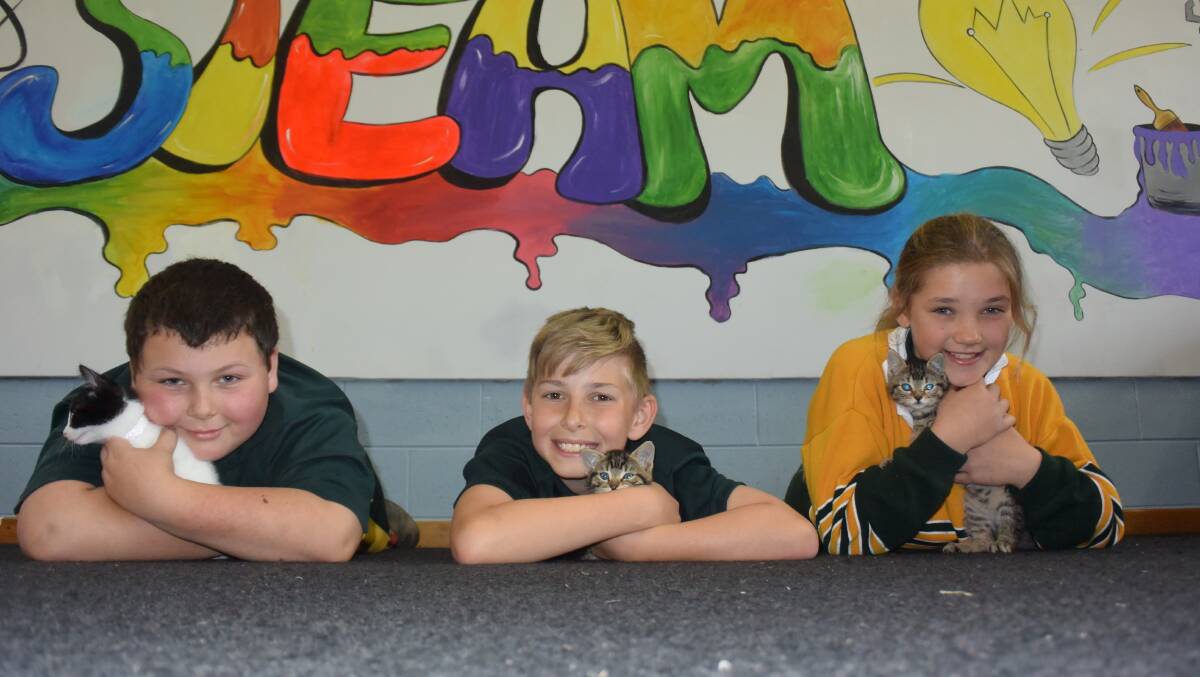 HELPING MEOWT: St Leonards Primary School students Robert Murphy, 12, Zach Kerrison, 11, and Makayla Woods, 12, cuddle kittens after participating in the Edu.Cat program run by Ten Lives Cat Centre. Picture: Tess Brunton