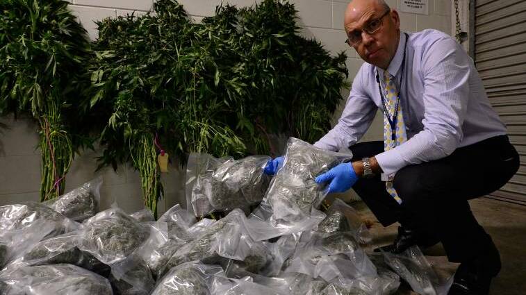 SEIZED: Detective Inspector Kim Steven with the haul of cannabis discovered at a property near Smithton. Pictures: Phillip Biggs
