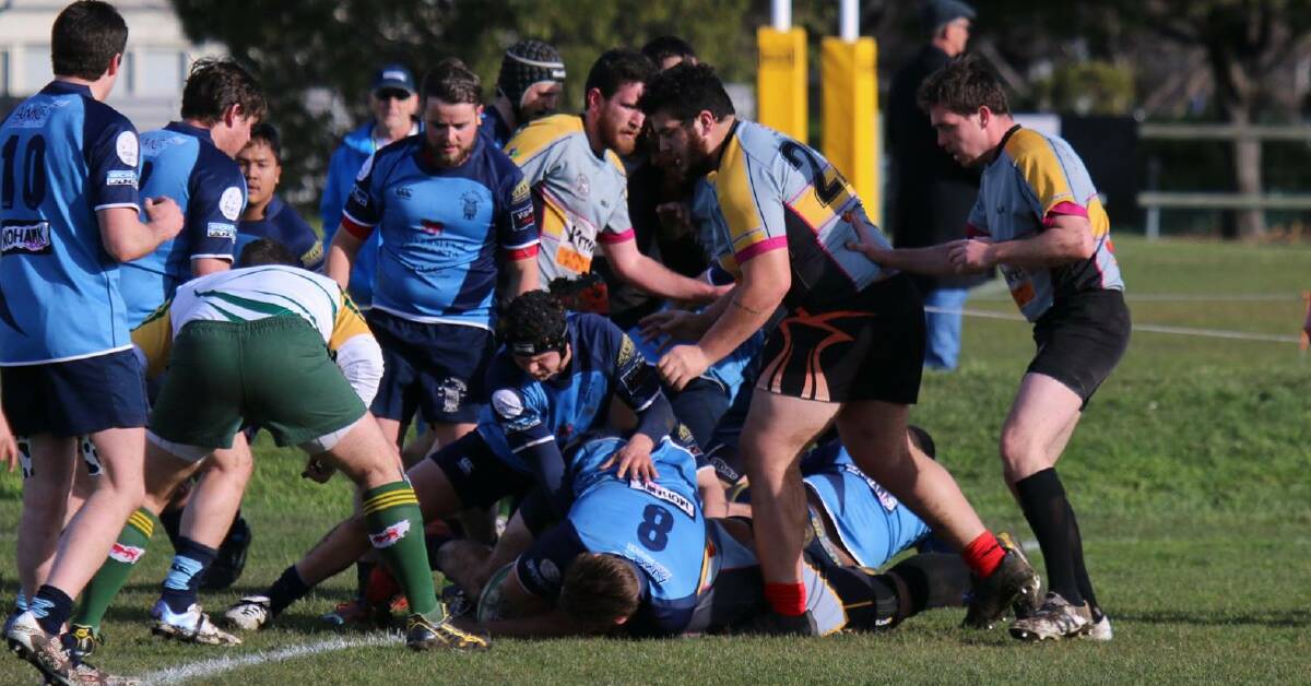 DESPERATE: AMC Vikings defend their line against Hobart Hutchins Lions from a lunge for a rare try in the Tasmanian Rugby Union encounter on Saturday. Picture: AMC Vikings