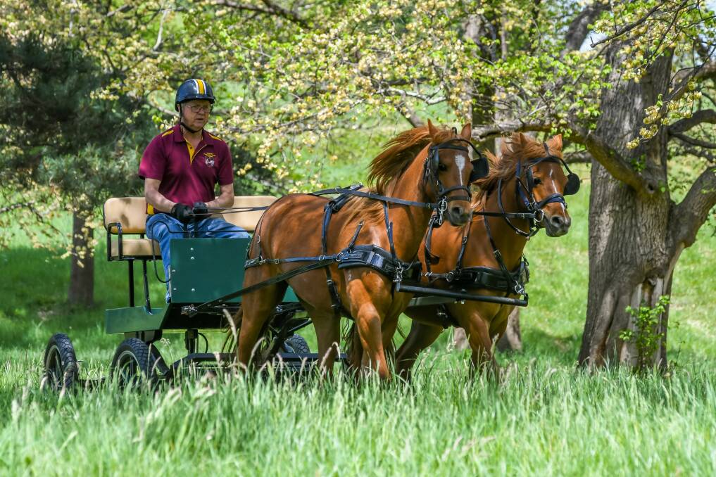 Walk on: Michael MacDonald, of Kings Meadows, in a training buggy, with sisters Flute, and Fly, at Entally House. Picture: Phillip Biggs