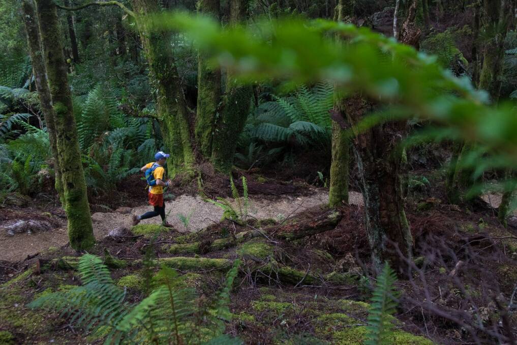 BACK AGAIN: Entries are now open for the 2018 Tassie Trail Fest. The running festival will over three days next year. Picture: Supplied 
