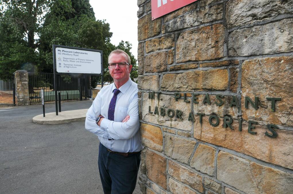 Launceston Chamber of Commerce executive officer Neil Grose said concerns about the merger had been raised by chamber members. Picture: Paul Scambler