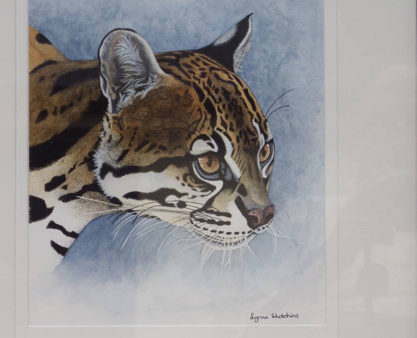 SMALL WONDER: Lynne Hutchens' painting of an Ocelot - a South American wild cat - will be on show at the exhibition. Picture: Supplied