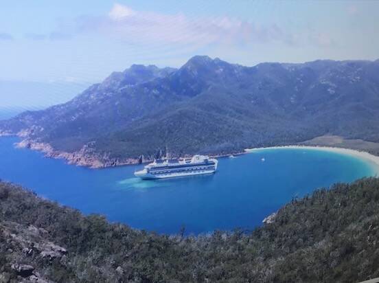 BEACH VIEWS: Mr Martin said the ships are hurting the brand of Wineglass Bay. Picture: Supplied
