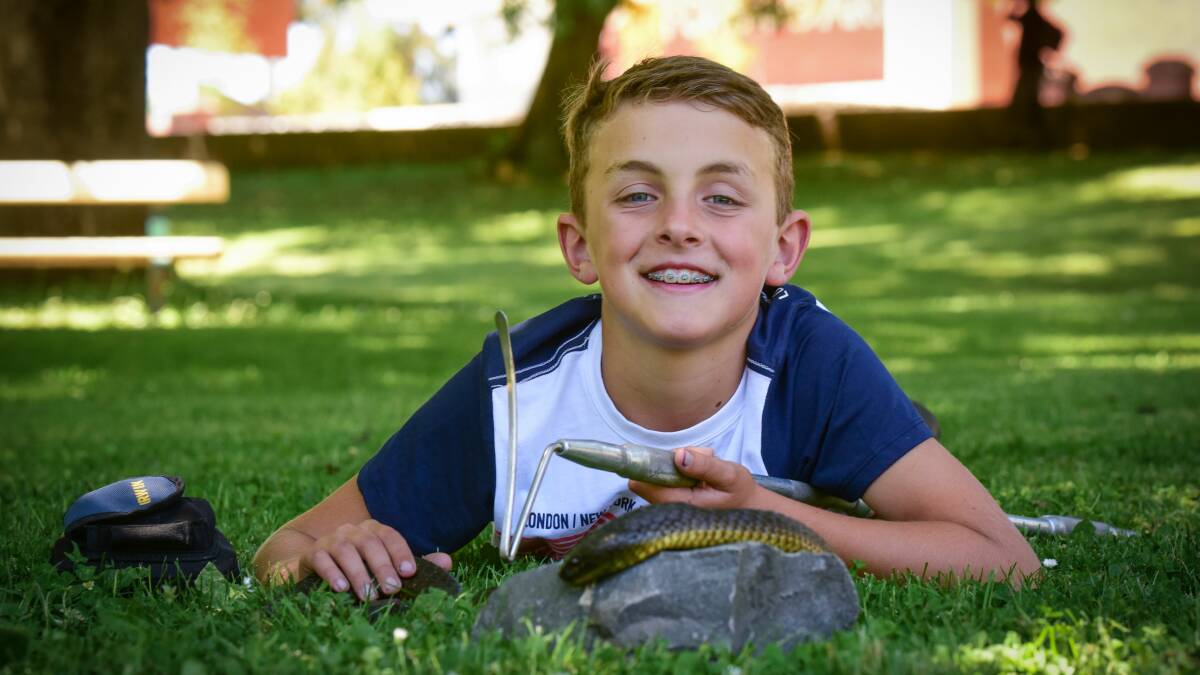 SNAKES ALIVE: Toby Morrison, 10, with "Closet" the Mount Chappell Island Tiger snake. Picture: Paul Scambler.