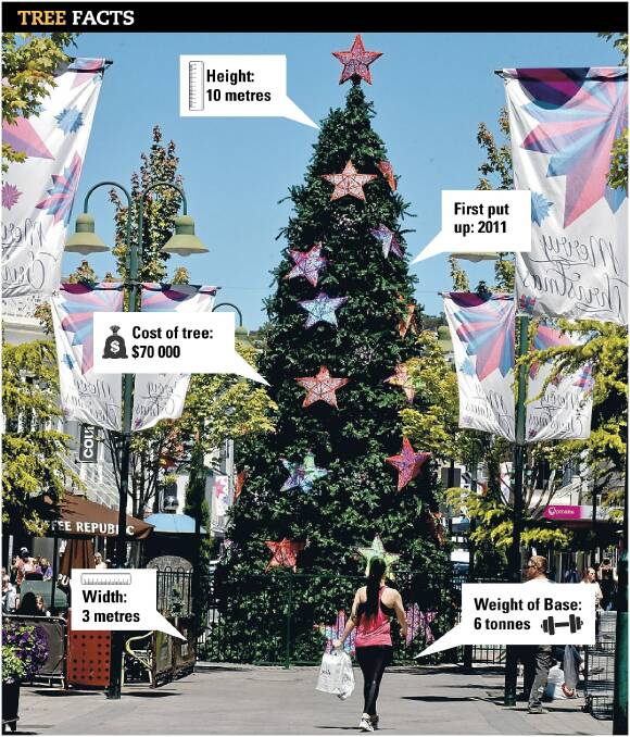 FESTIVE SEASON: The set-up of the Brisbane Street Christmas tree will start on Sunday.