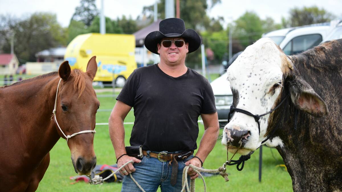 ENTERTAINMENT: Stars of the Animal Wrangler show,  Lachie Cossor from Queensland with quarter horse Ernie and bullock Jigsaw. Picture Paul Scambler 