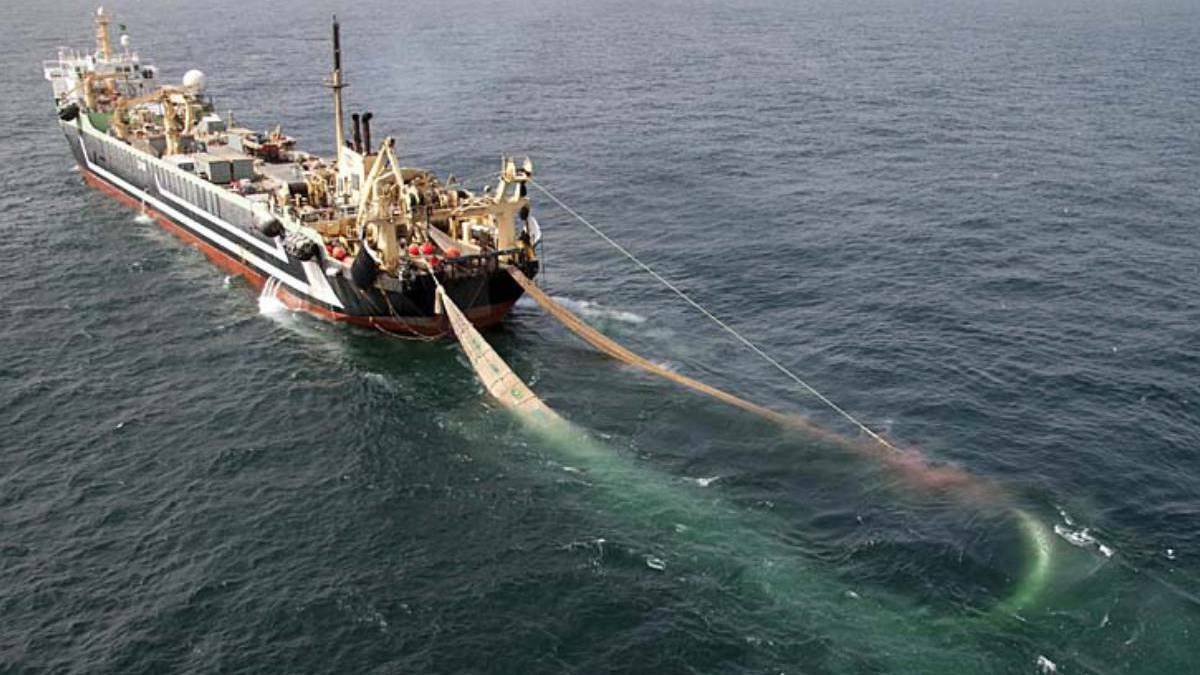 Trawlers banned in state waters