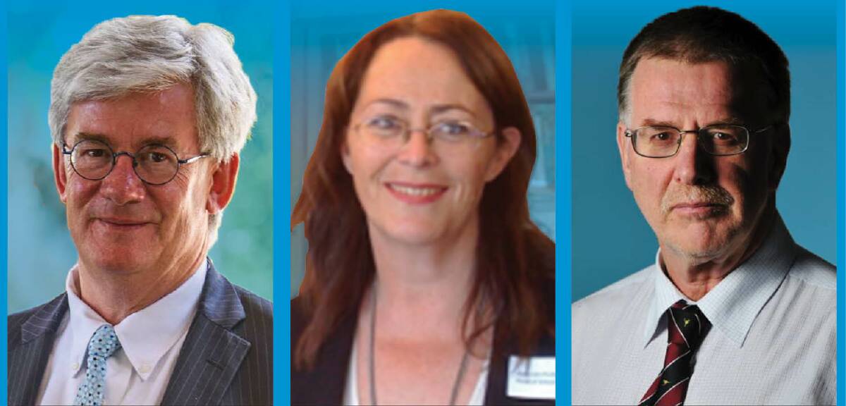 WEIGHING IN: Economist Saul Eslake, political scientist Kate Crowley and former journalist Barry Prismall are Fairfax Tasmania's expert election panel. They have provided their thoughts on the first half of the campaign.