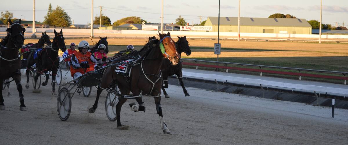 YOLE CHANCE: Washies Chance, one of 44 runners for Ben Yole at Mowbray on Sunday night, has won 10 races this season all with Natalee Emery in the sulky. 